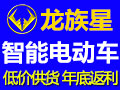 龍族星體感電動(dòng)車(chē)
